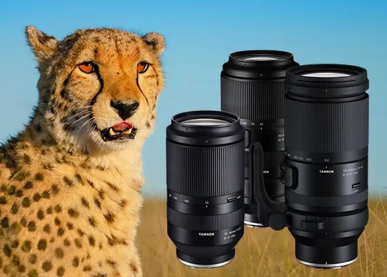 About Tamron Company history